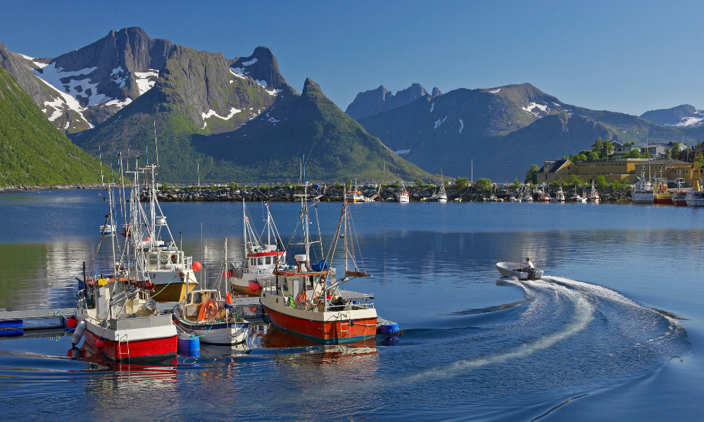 Hamn in Senja Next Travel Nordic