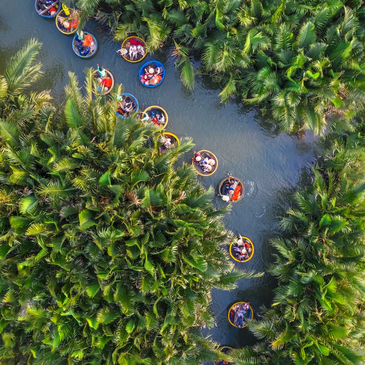 Overhead shot of Thung Chai (basket boats) carrying guests for a unique river experience through the Bay Mau coconut forest in Hoi An, Vietnam.