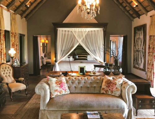 Sustainable Incentive Safaris in Southern Africa