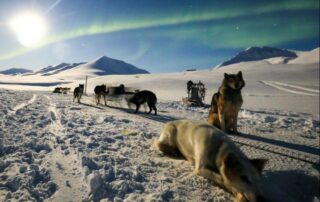 Svalbard corporate incentive travel sm