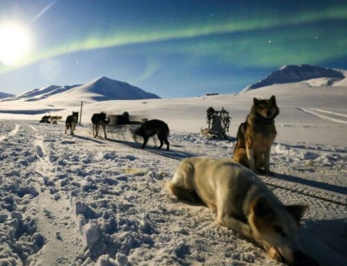 Svalbard corporate incentive travel
