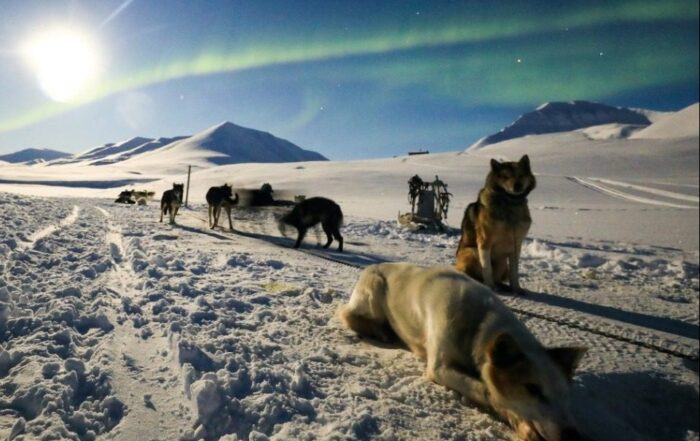 Svalbard corporate incentive travel sm